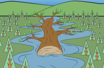 Fallen tree