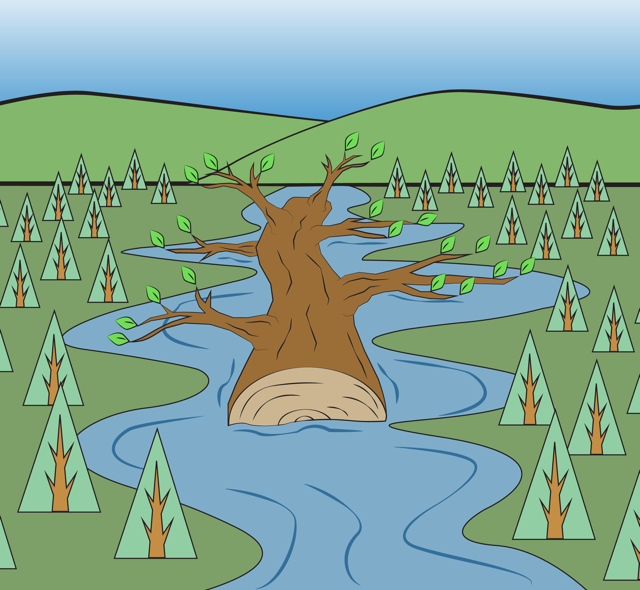 Fallen tree