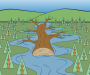 Fallen tree
