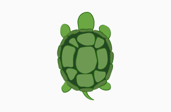turtle_img