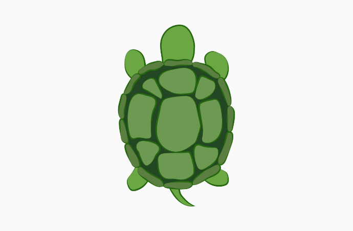 turtle_img